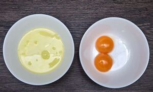 Белки и желтки: сколько хранятся в холодильнике, можно ли замораживать