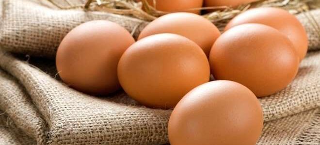 Срок годности сырых и вареных куриных яиц в холодильнике и без него
