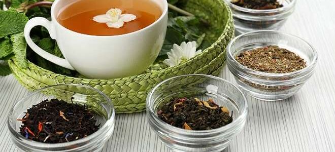 Чай: сроки годности в зависимости от сорта. Как хранить в сухом и заваренном виде