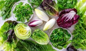 Как долго сохраняется салат? Как его хранить и можно ли заморозить?
