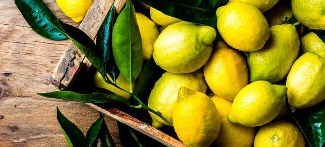 Как сохранить лимоны дома: несколько простых правил