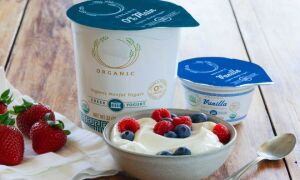 Советы по использованию и хранению йогурта. Можно ли заморозить йогурт?