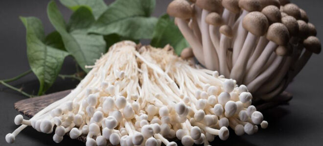 Что такое грибы Эноки? Как их хранить и использовать.
