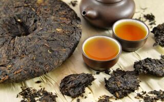 Чай пуэр, условия хранения для правильного эффекта чая пуэр