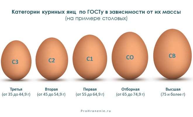 категории куриных яиц