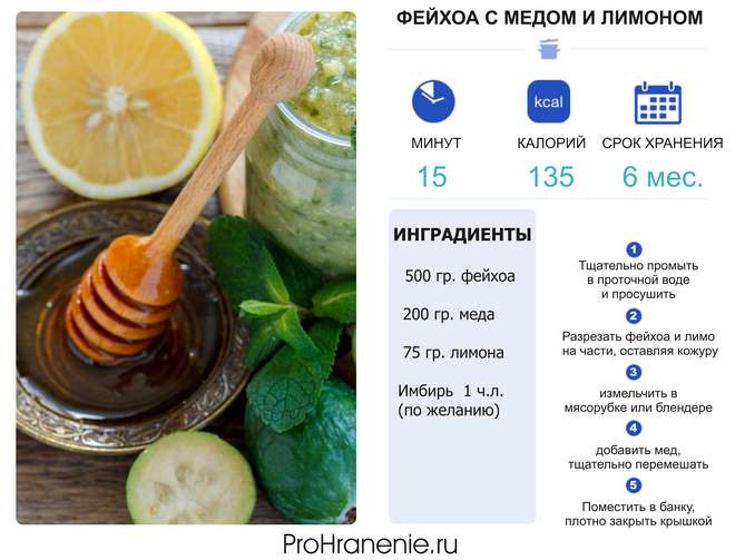 Рецепт фейхоа с медом и лимоном