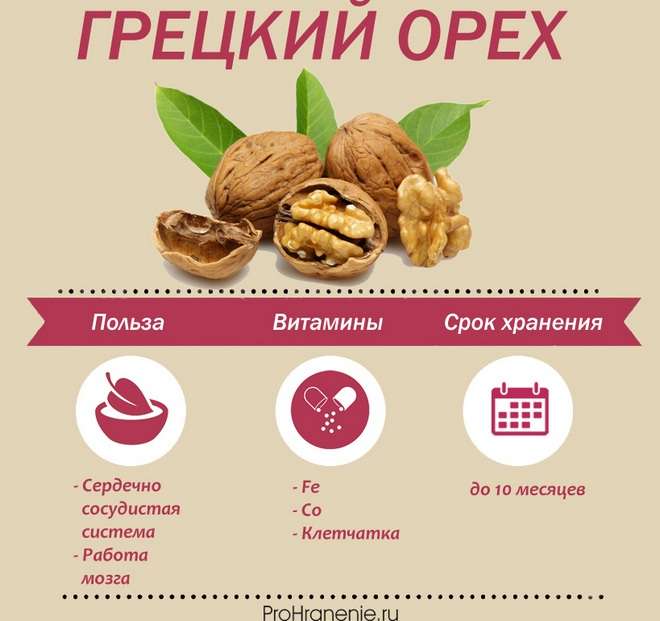 грецкий орех, польза, хранение