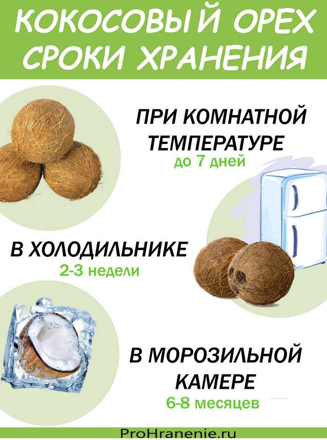 сроки хранения кокосовых орехов