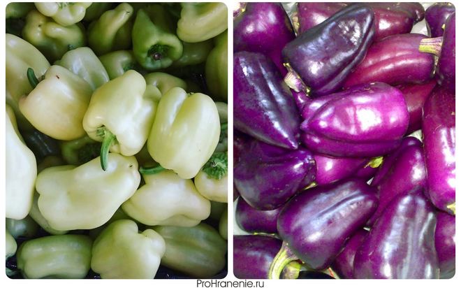 Белый и фиолетовый болгарский перец - результат искусственной селекции