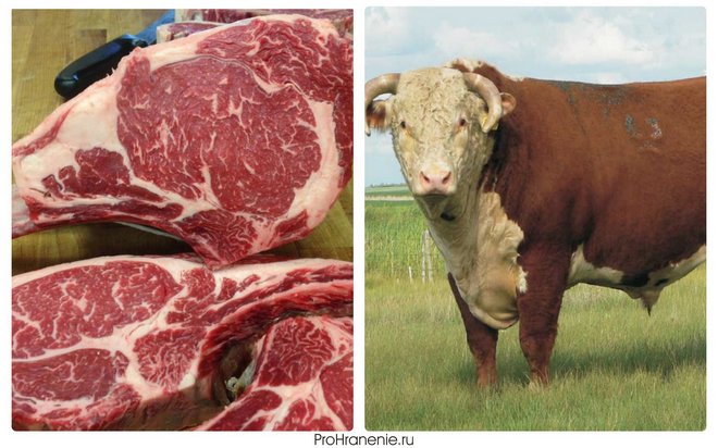 Что считается красным мясом бычье мясо