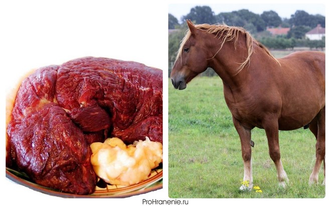 Что считается красным мясом мясо лошади
