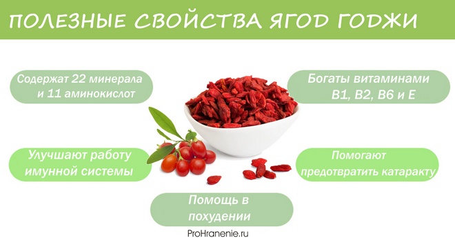 ягоды годжи полезны для здоровья, этот маленький фрукт обычно считается суперпродуктом