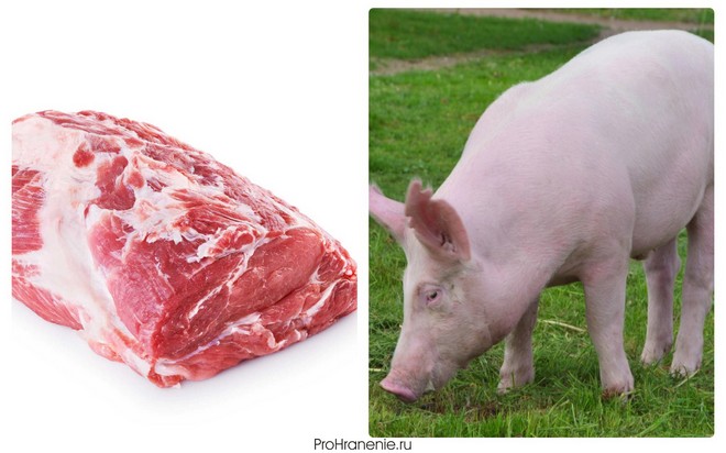 Что считается красным мясом свинина