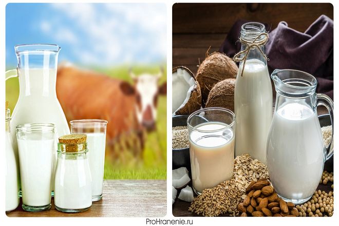 Овсяное молоко и миндальное молоко обычно разделяются при хранении в холодильнике и становятся зернистыми. при замораживании молока происходит разделение