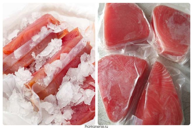 Когда дело доходит до свежей рыбы, включая свежего тунца, вам придется использовать совершенно другие методы хранения. Если у вас есть свежее, сырое филе тунца, вам следует съесть его быстро. Обычно в течение 1-2 дней, если хранить его в холодильнике. Сюда входят сашими, приготовленные из сырой рыбы.
