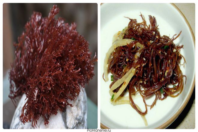 Красный или пурпурный кружевной морской овощ с острой текстурой.  Который чаще всего можно увидеть в тарелке с поке из тунца. Ого-нори иногда можно найти в свежем или сушеном виде на японских или гавайских рынках или в Интернете. Ого можно мариновать или использовать в салатах или кимчи.