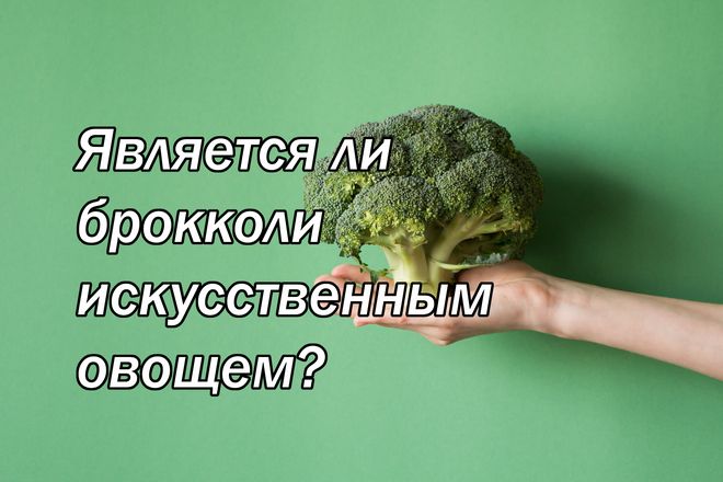 Является ли брокколи искусственным овощем?