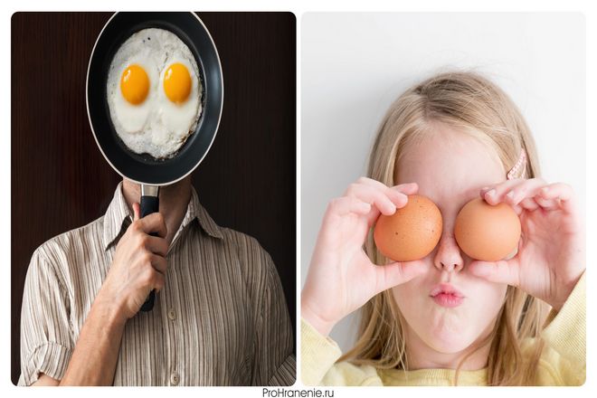 Постараемся проанализировать, что некоторые исследования говорят о дневном потреблении яиц.