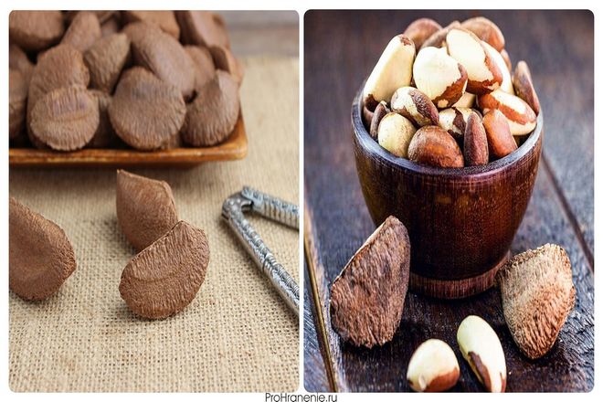 Вы уже знаете, где следует хранить бразильские орехи, в зависимости от того, как долго вы собираетесь их хранить. Теперь пришло время поговорить о частностях.