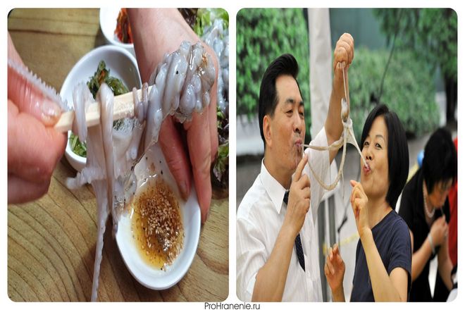 Сан-накджи из Кореи - поедание живого осьминога