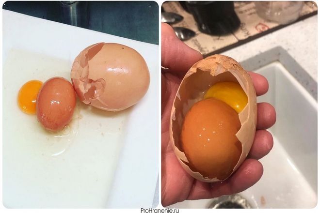 Яйцо внутри другого