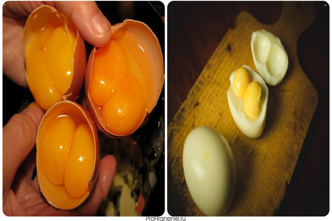 Яйца с двумя желтками