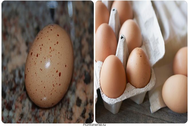Если на яйце есть небольшие пятна, это может быть связано с разными факторами. Белые/коричневые пятна указывают на такие проблемы, как избыток/дефицит кальция в рационе курицы или дефекты ее репродуктивного тракта.